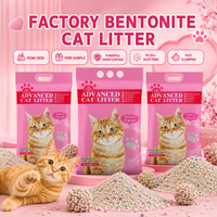 Échantillon Gratuit - Litière Écologique pour Chat, Bentonite Agglomérante, Bentonite de Sodium 99% Sans Poussière, Contrôle des Odeurs pour Marques OEM ODM