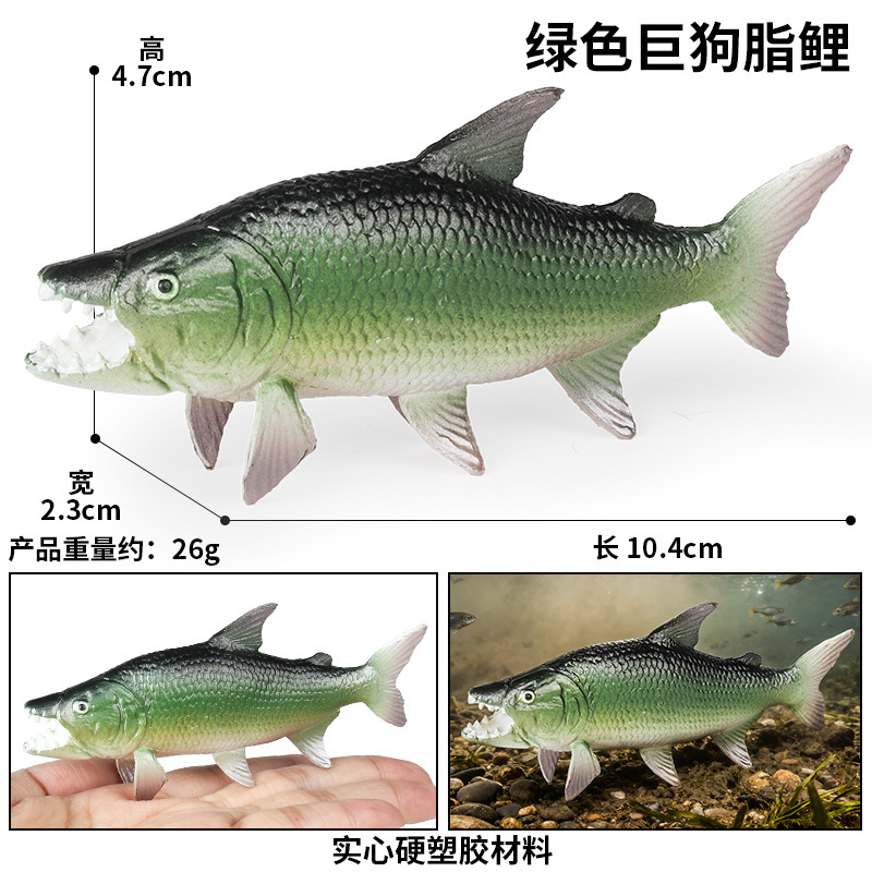 coloré 3919 Carpe grasse pour chien géant petite taille vert
