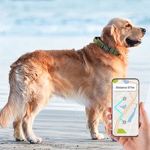 Collier tactique pour chien, couverture de support de traqueur GPS, collier anti-perte réglable en nylon pour animaux de compagnie, pour colliers de chien Airtag - Product Image 3