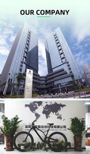 7-Gang Elektro-Mountainbike 48V 10Ah 500W 26*4,0 Zoll Fat-Tire-E-Bike 60 km/h 40 Mph Offroad-Elektrofahrrad - Product Image 6