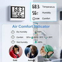 Thermomètre hygromètre numérique LCD mini léger, alimenté par piles, certifié CE FCC, pour usage domestique, design suspendu en plastique, chambre à coucher, bébé, BQ