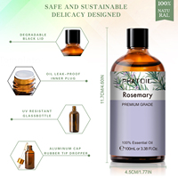 Huile Essentielle 100ml à Prix d'Usine, Extrait Végétal, Huile d'Aromathérapie pour Diffuseur, Massage, Fabrication de Bougies, Soins de la Peau