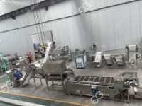 Équipement de séchage de déshydrateur de machines de poudre d'ail d'usine de fabrication industrielle pour la ligne de processus de fruits et légumes