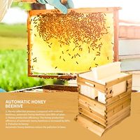 Ensemble complet de 7 rames de ruche en bois de sapin chinois pour l'apiculture, avec système de flux de miel automatique