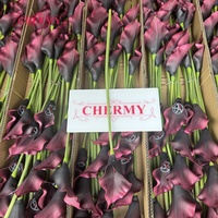 Groothandel EVA Grote Calla Lelie Kunstbloem Bordeaux Kunstmatige Calla Lelie Voor Gotische Bruiloft Tafeldecoratie Bloemstuk