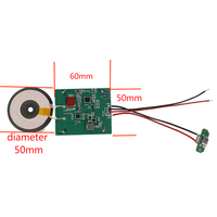 Rise Innovation Module de charge sans fil rapide EPP 5V/9V/12V/24V MPP charge magnétique PCBA OTP/OPV protégé électrique PD pour PC