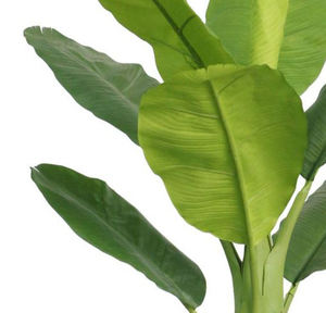 186cm de haut effet de feuille Unique <span class=keywords><strong>bananier</strong></span> artificiel intérieur/extérieur décoratif plante en pot vivante matière plastique pour anniversaire - Product Image 2