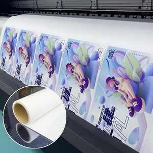 Póster de papel de PP mate de 180g, tinta de tinte imprimible - Product Image 6