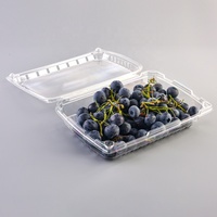 Boîtes d'emballage en plastique transparentes à charnière de 500g pour fruits (fraises, mûres, cerises) avec trou pour couvercle