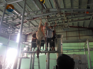 Línea automática de matadero de ganado vacuno 10-100/día, equipo de matadero llave en mano con motor para mataderos pequeños - Product Image 3