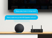 Üretici toptan elektrik H50 kablosuz Stereo amplifikatör 2x50w destek Spotify & Airplay2 yüksek kaliteli ev amplifikatör