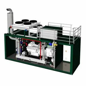 1mw Biogas Generator Heavy Biogas Generator 300kw 1MW / 2MW Biogas Plant Gas Generator With Container Type