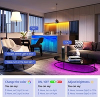 Lampu Strip LED Warna-warni Tuya Smart 20m dengan Remote Kontrol 24 Tombol USB 8mm Bodi Lampu PVC Hitam untuk Lanskap