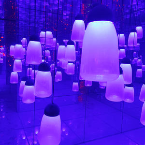 <span class=keywords><strong>Laberinto</strong></span> <span class=keywords><strong>de</strong></span> espejo interior <span class=keywords><strong>de</strong></span> atracción para adultos a la venta para paseos en parques <span class=keywords><strong>de</strong></span> atracciones y centros comerciales - Product Image 4