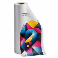 Film PET DTF Mat à Décollement à Froid en Rouleau, Largeur 30cm 60cm, Longueur 100m, Film de Transfert Thermique pour Impression sur T-shirts, Sweats à Capuche et Tissus