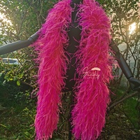 Boa en plumes d'autruche noires 15-18cm/16 plis, teintes, pour décoration de maison, fête, mariage, accessoire de costume ou de robe pour femme