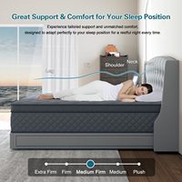 Matelas en mousse à mémoire de forme hybride Queen Confort respirant Mousse de soutien à haute densité Soulagement de la pression Utilisation écologique de l'hôtel 10 ans