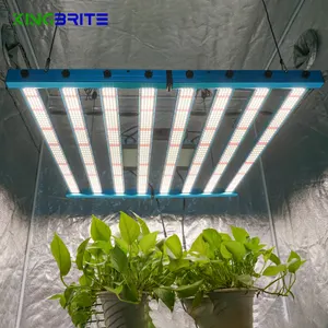 Thailand! King Brite 650W LED Grow Lampe Licht 8 Bar Samsung LM281B LM301H Voll spektrum Epistar 660nm UV IR Vertikale Beleuchtung