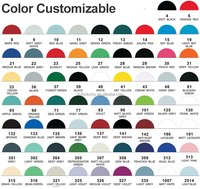 Peinture chromée pour plastique, peinture de chromage par pulvérisation, peinture chromée miroir pour plastique