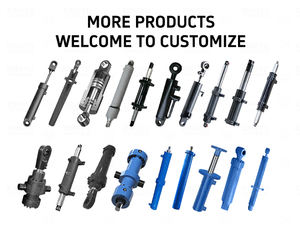 Cilindro Hidráulico de Doble Acción de Largo Alcance HSG de 5T y 16Mpa, Cromado Duro, para Excavadora, Camión Volquete, Grúa - Product Image 6