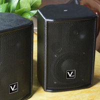 Système de Son Scène Arrière F52M Haut-Parleurs Stéréo Professionnels Passifs de Retour pour Extérieur, Moniteurs Audio, Performance et KTV
