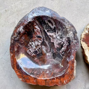 Bois pétrifié naturel poli fossile cristal tranche sous-verre spécimen minéral bol fossile en bois pour la décoration - Product Image 5