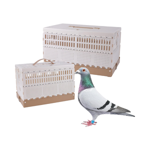 Güvercin aksesuarları plastik tepsi ile nefes plastik katlanabilir güvercin kafesi-kuşlar için taşınabilir eğitim kafesi kapalı kullanı<span class=keywords><strong>m</strong></span> - Product Image 4