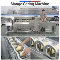 Automatische Hoge-Efficiëntie Mango Pitverwijderingsmachine 304 RVS CE ISO Gecertificeerde Fruitverwerkingsmachine