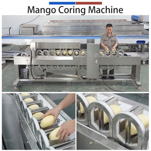 Automatic Mango Pit Removal Machine Fruit Processing Equipment Countertop Kernel Extraction Machine for Food Factory - Product Image 4