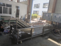 Multifunctionele commerciële bubbelwasmachine voor het verwijderen van modder, pesticidenresten, groenten, fruit, vis en zeevruchten