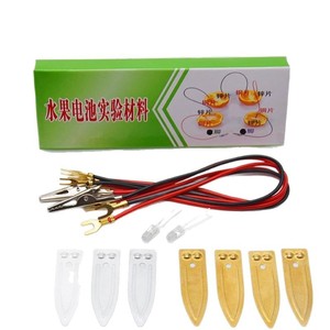 Fruit Battery Experiment Kit Materials: <b>Copper</b> <b>Sheets</b>, Zinc <b>Sheets</b>, Scientific DIY Homemade Fruit, Potato, Salt Water, Cola - Product Image 1