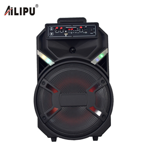 Sistema Audio Hi-Fi con Woofer da 12'', Echo Dot 5a Generazione, Potente Amplificatore, Altoparlante Audio per Esterni - Product Image 2
