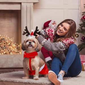 Disfraz de Navidad para Perro, Traje de Papá Noel Montado en Mascota, Diadema de Astas de Reno, Ropa de Navidad para Cachorros, Talla XX-Large, Piel Sintética - Product Image 5