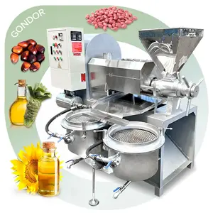 Fully Automatic Mustard Coffee Bean Pressing Mill Extraction Soyabean Oil Press Machine for Sun Flower Seeds