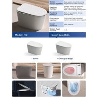 WC intelligent automatique populaire, économie d'eau 4,8 L, double filtration, séchage à air chaud pour l'ingénierie hôtelière