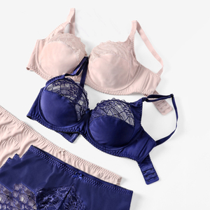 Wholesale High Quality Lace Big Cups C D E Comfortable Fat Women Bra Brief Sets Plus Size Underwear Set