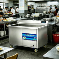 Industriële automatische groentewasser 1000kg/u met water |   Eenvoudig te bedienen |   Verwijdert veldgrond |   voor Snack Food Factory