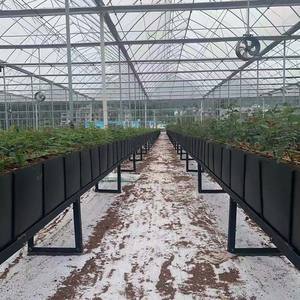 โรงเรือนสำเร็จรูปที่ติดตั้งง่ายสามารถใช้เป็นโรงเรือนพลาสติกสำหรับเพาะเห็ด - Product Image 3