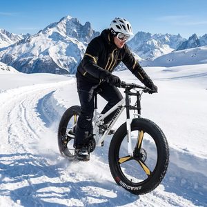 Bicicletta da Montagna in Lega di Alluminio 26 Pollici, Ruote 4.0, <span class=keywords><strong>21</strong></span> Velocità, Freni a Disco, per Neve e Spiaggia - Product Image 2