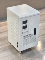 Régulateur de tension automatique en cuivre AC SVC 10 kVA TND pour commande de servomoteur 220 V
