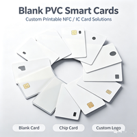 Kartu Bisnis PVC/Polikarbonat Kustom, Kartu RFID Kecil dengan Jendela Transparan dan Lubang Punch untuk Keanggotaan Hotel