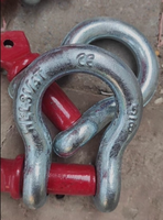Shackle Baja Paduan Tempa G209 dengan Pin Sekrup untuk Tali Pengikat Ratchet PES Kapasitas Angkat 2500kg