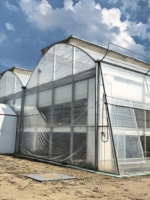 Serre commerciale multi-chapelles en film plastique PO, serre multi-chapelles en film avec ventilation