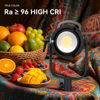 FY-300X 300W Éclairage vidéo LED avec contrôle par application, CRI élevé Ra96, température de couleur réglable, prix usine de gros pour le cinéma