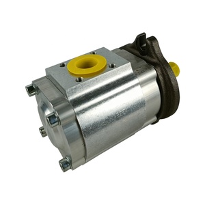 Bomba de Engranajes para Máquina de Moldeo por Inyección ECKERLE 890-EI-0250-FK2-S201 de Alemania - Product Image 4