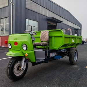 Tricycle électrique de cargaison avec la batterie au plomb puissante exempte d'entretien et deux sièges en cuir de luxe - Product Image 5