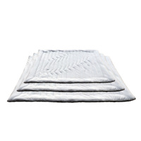 Coussin d'été respirant et lavable en soie glacée pour animaux de compagnie, couverture portable douce pour cage, tapis rafraîchissant antidérapant pour chien