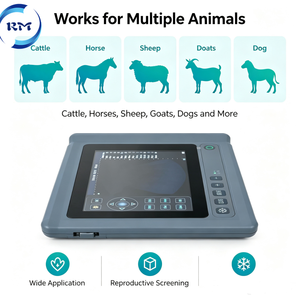 Máquina <span class=keywords><strong>de</strong></span> Ultrasonido Veterinaria Profesional, Máquina <span class=keywords><strong>de</strong></span> Ultrasonido B con Software para Examen <span class=keywords><strong>de</strong></span> Reproducción <span class=keywords><strong>de</strong></span> Ganado, Cabras, Caballos y Camellos - Product Image 1