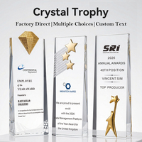 Trophée personnalisé en cristal Aigle gravé en 3D – Championnat sportif, Vainqueur, MVP, Athlétisme, Course, Victoire