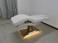 Table de massage électrique de thérapie de luxe à un bouton, pour esthéticienne, salon de beauté, lit de beauté